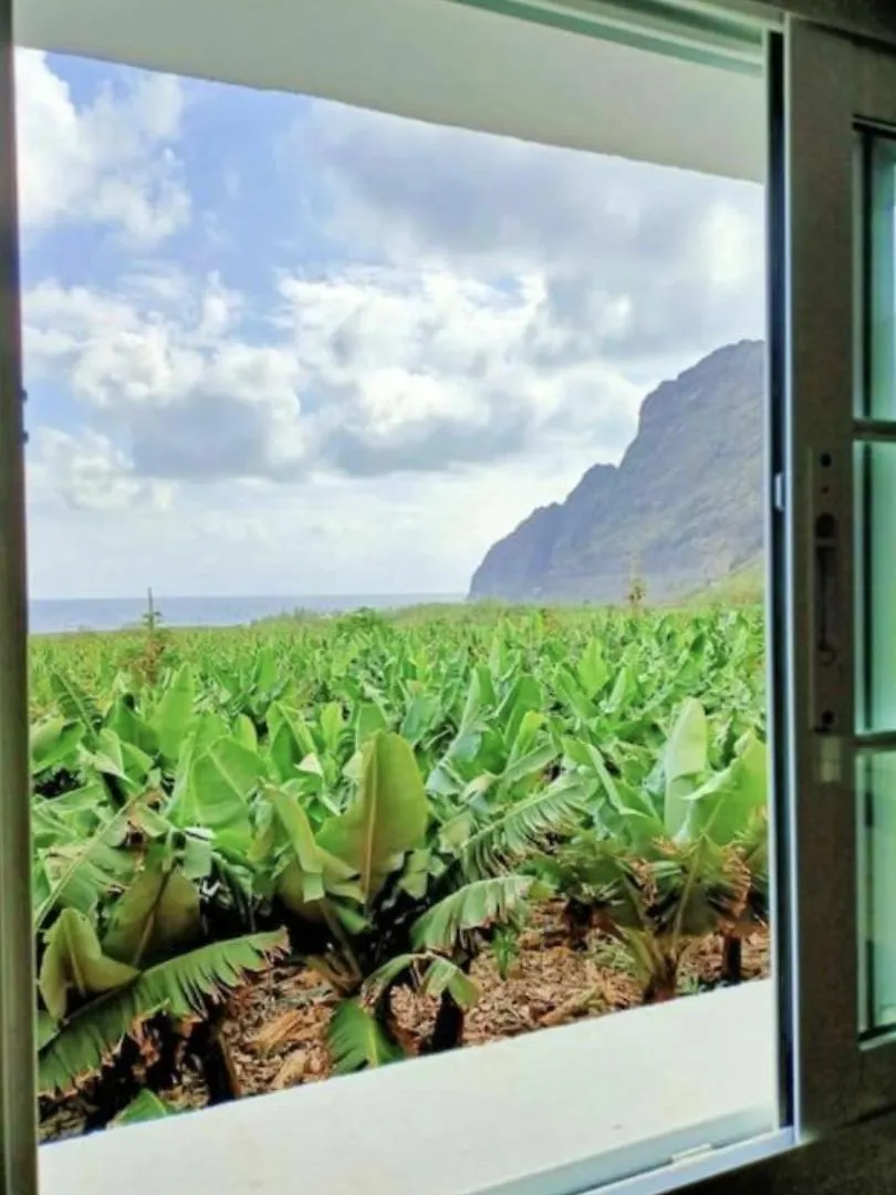 Feriehus Casa La Tosca-Entorno Magico Villa Hermigua